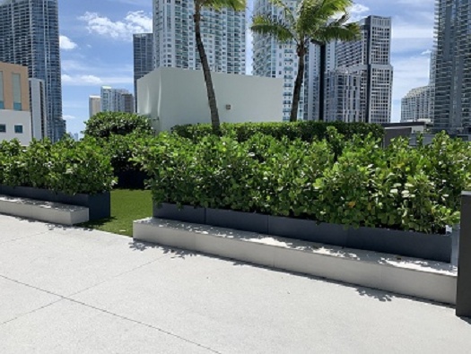 Secret Garden Secret Garden