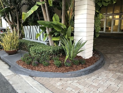 Wind Entrance